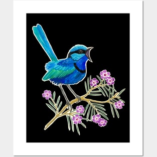 Blue Wren and Geraldton Wax Posters and Art